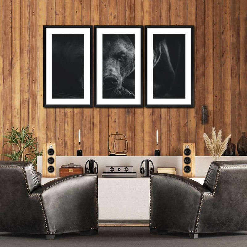 Monochrome Brown Bear Wall Art