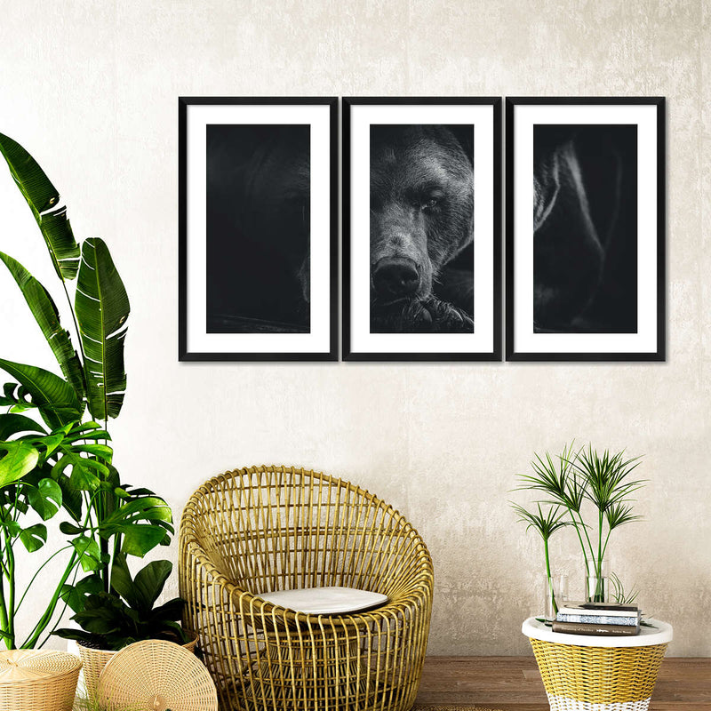 Monochrome Brown Bear Wall Art