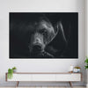 Monochrome Brown Bear Wall Art