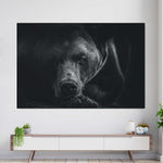 Monochrome Brown Bear Wall Art