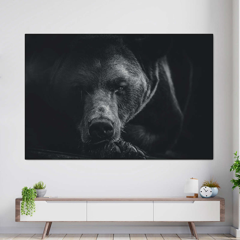 Monochrome Brown Bear Wall Art