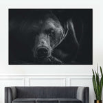 Monochrome Brown Bear Wall Art