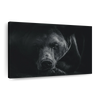 Monochrome Brown Bear Wall Art