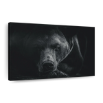 Monochrome Brown Bear Wall Art