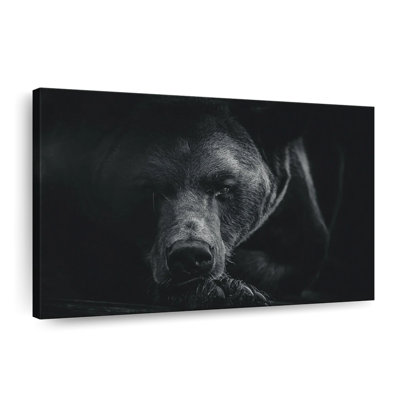 Monochrome Brown Bear Wall Art