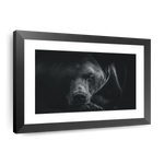 Monochrome Brown Bear Wall Art