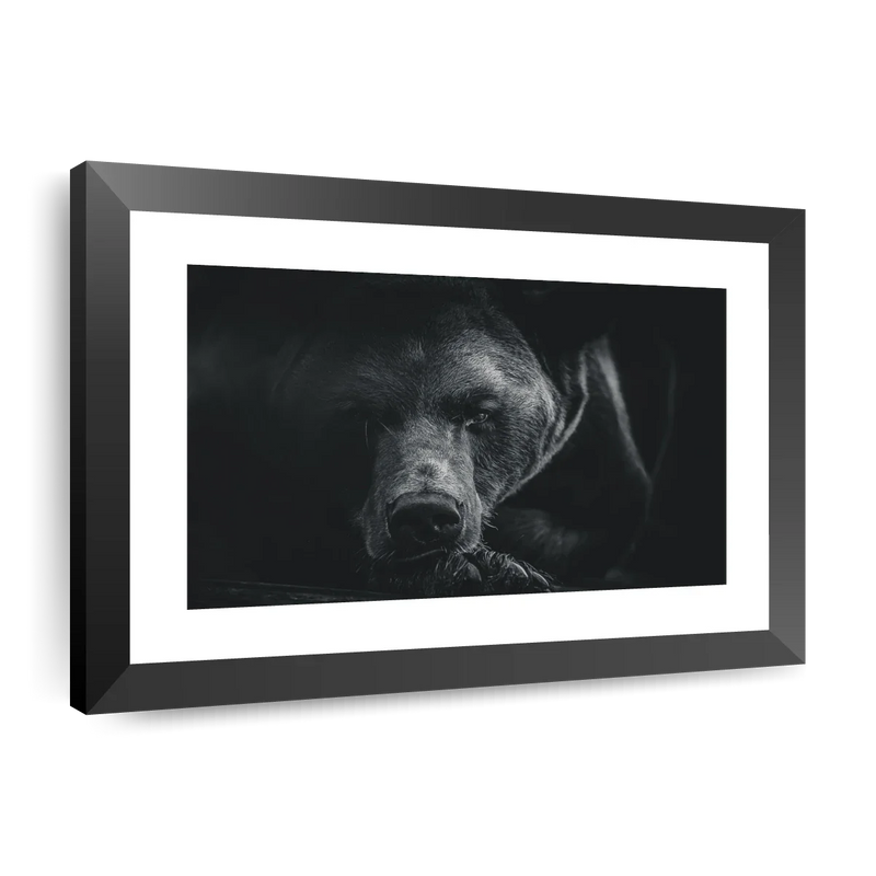 Monochrome Brown Bear Wall Art