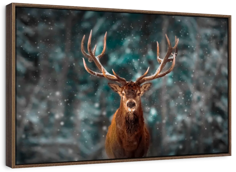 Snowy Noble Deer Wall Art