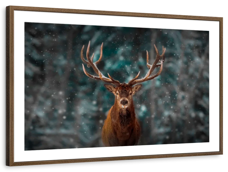 Snowy Noble Deer Wall Art