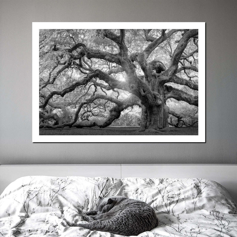 Monochrome Angel Oak Tree Wall Art