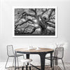 Monochrome Angel Oak Tree Wall Art