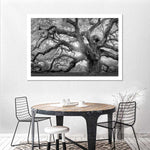 Monochrome Angel Oak Tree Wall Art