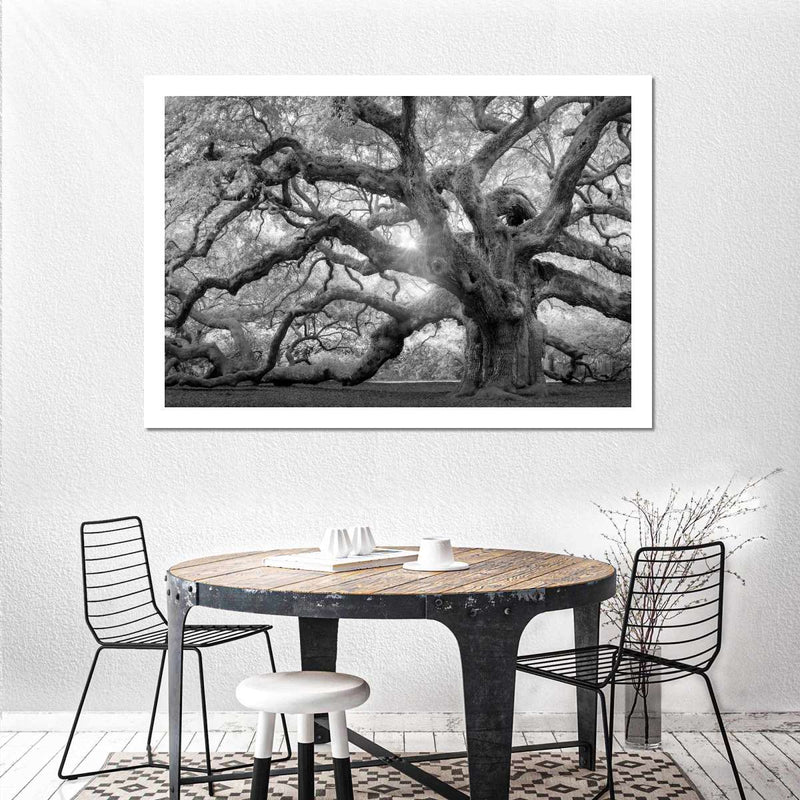 Monochrome Angel Oak Tree Wall Art