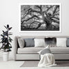 Monochrome Angel Oak Tree Wall Art