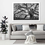 Monochrome Angel Oak Tree Wall Art