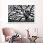 Monochrome Angel Oak Tree Wall Art