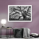 Monochrome Angel Oak Tree Wall Art