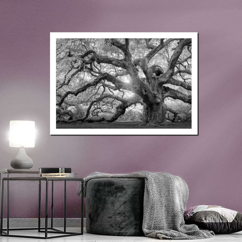 Monochrome Angel Oak Tree Wall Art
