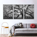 Monochrome Angel Oak Tree Wall Art