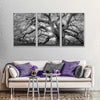 Monochrome Angel Oak Tree Wall Art