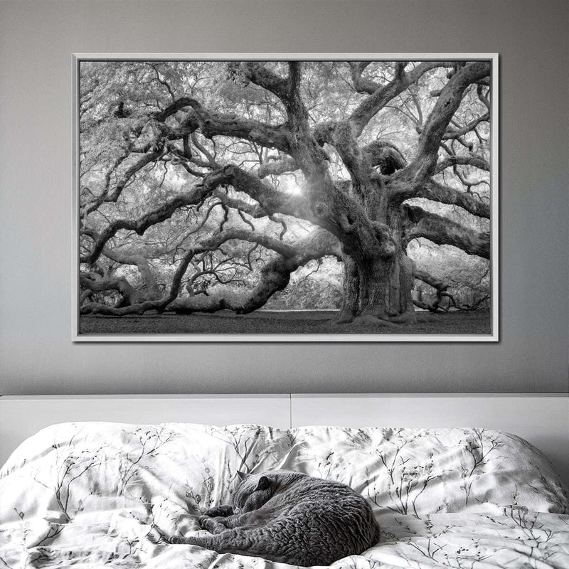 Monochrome Angel Oak Tree Wall Art