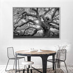 Monochrome Angel Oak Tree Wall Art