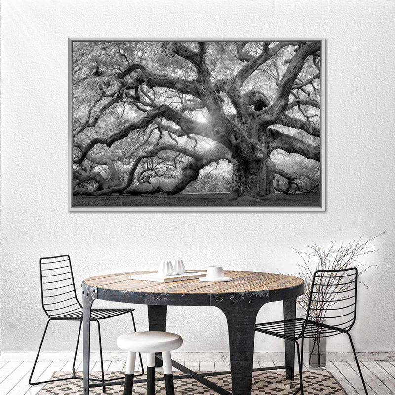 Monochrome Angel Oak Tree Wall Art