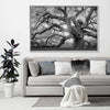 Monochrome Angel Oak Tree Wall Art