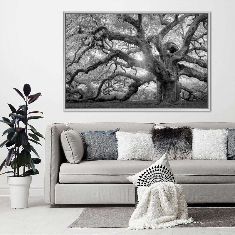 Monochrome Angel Oak Tree Wall Art