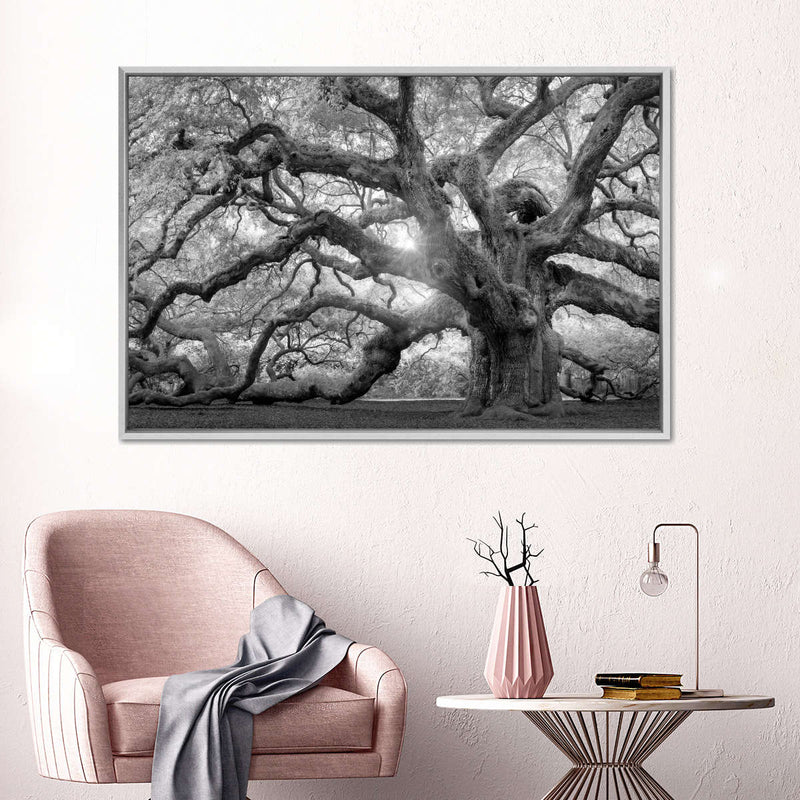 Monochrome Angel Oak Tree Wall Art