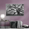 Monochrome Angel Oak Tree Wall Art