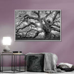Monochrome Angel Oak Tree Wall Art