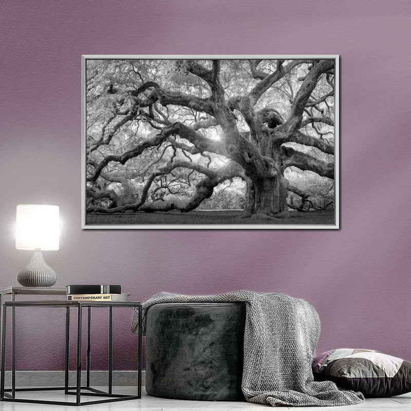 Monochrome Angel Oak Tree Wall Art