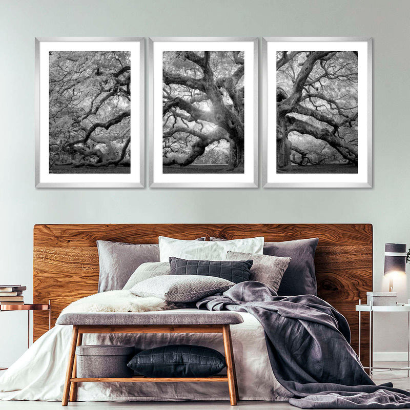Monochrome Angel Oak Tree Wall Art