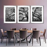 Monochrome Angel Oak Tree Wall Art