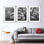 Monochrome Angel Oak Tree Wall Art