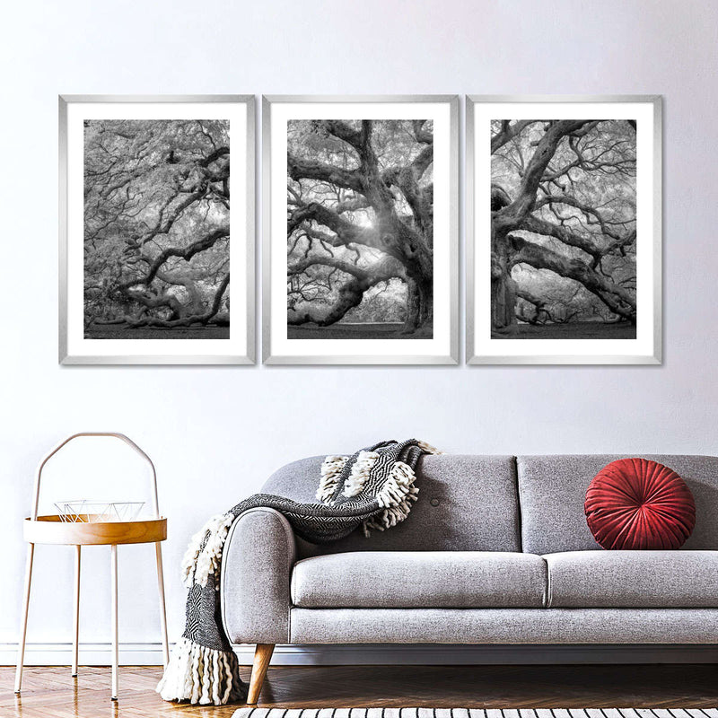 Monochrome Angel Oak Tree Wall Art