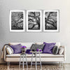 Monochrome Angel Oak Tree Wall Art