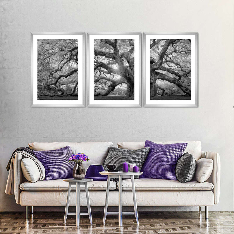 Monochrome Angel Oak Tree Wall Art
