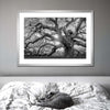 Monochrome Angel Oak Tree Wall Art