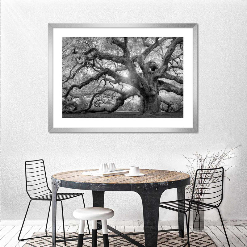 Monochrome Angel Oak Tree Wall Art
