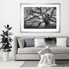 Monochrome Angel Oak Tree Wall Art