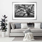 Monochrome Angel Oak Tree Wall Art