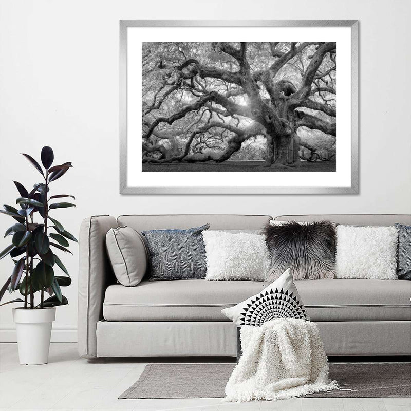 Monochrome Angel Oak Tree Wall Art