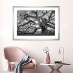Monochrome Angel Oak Tree Wall Art