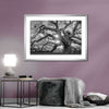 Monochrome Angel Oak Tree Wall Art