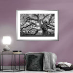 Monochrome Angel Oak Tree Wall Art