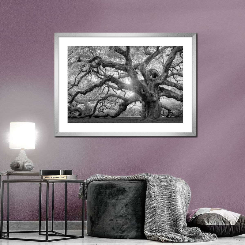 Monochrome Angel Oak Tree Wall Art