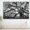 Monochrome Angel Oak Tree Wall Art