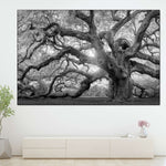 Monochrome Angel Oak Tree Wall Art